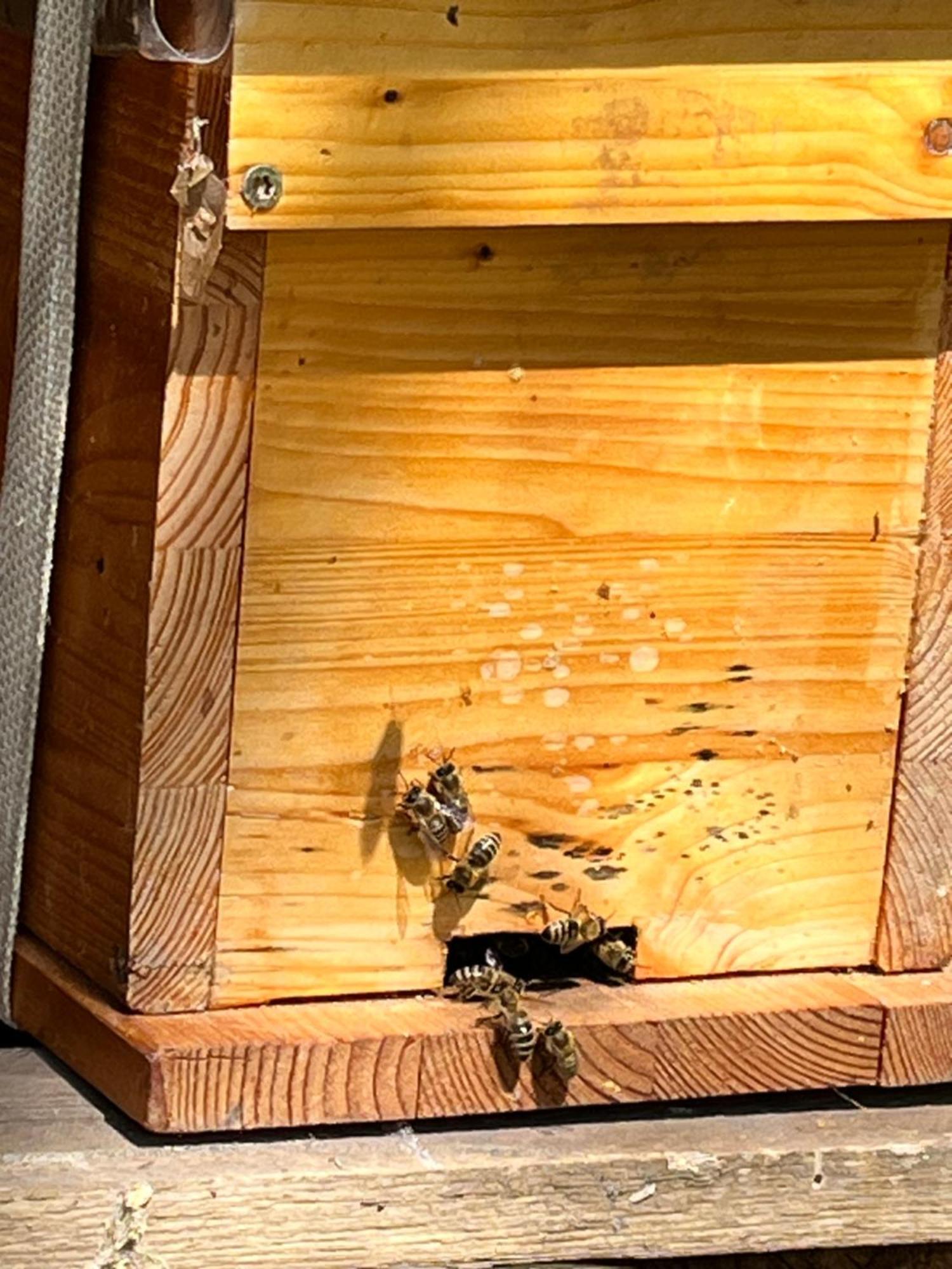 Wald Ist Zukunft Hotell Bernbeuren Exteriör bild