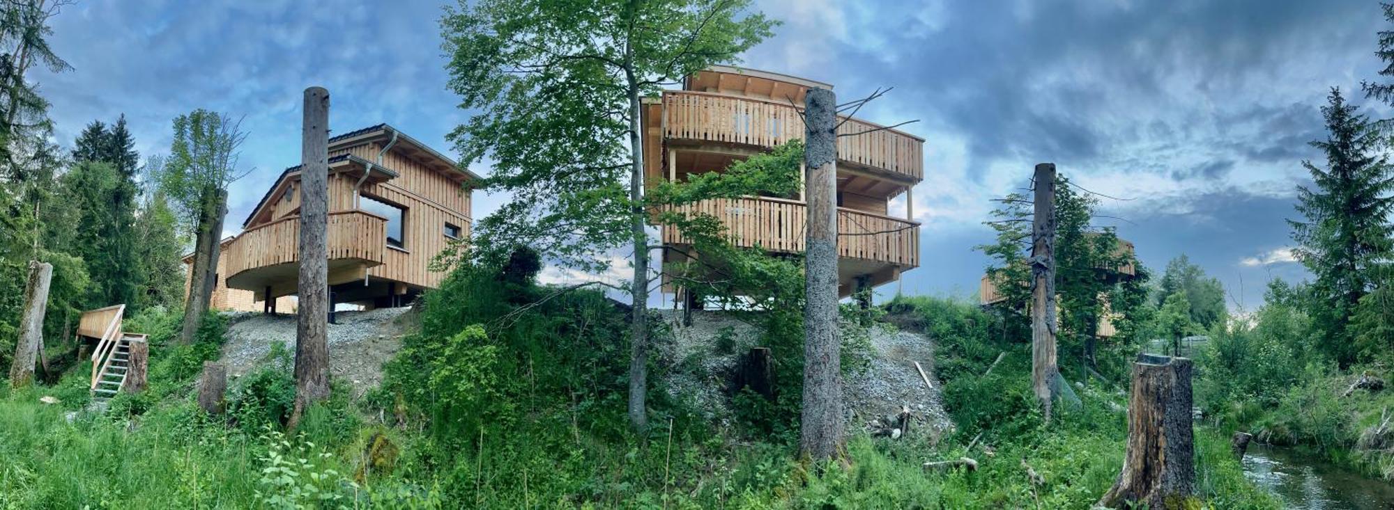 Wald Ist Zukunft Hotell Bernbeuren Exteriör bild