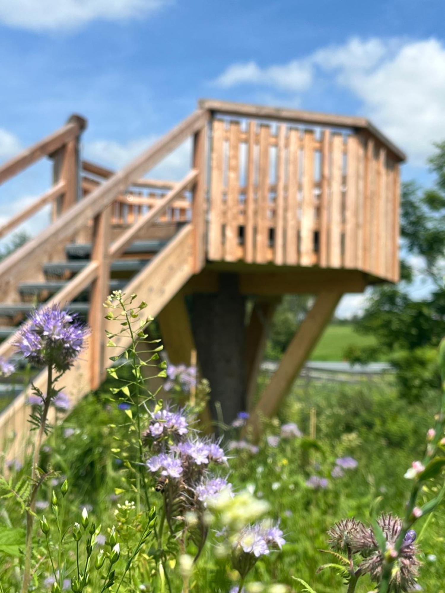 Wald Ist Zukunft Hotell Bernbeuren Exteriör bild