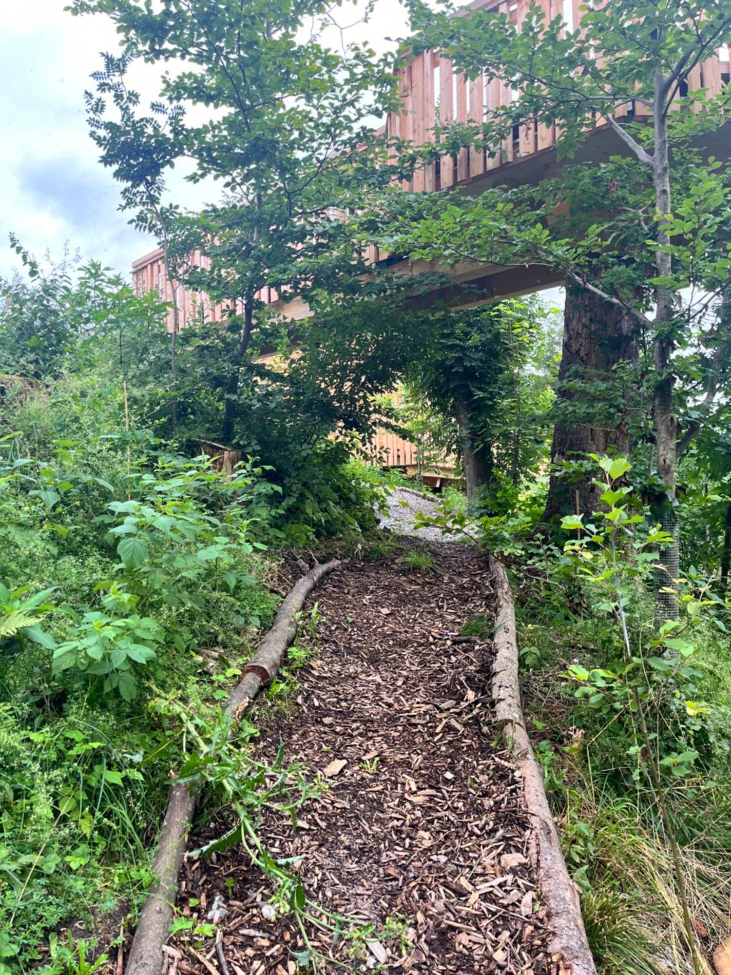 Wald Ist Zukunft Hotell Bernbeuren Exteriör bild