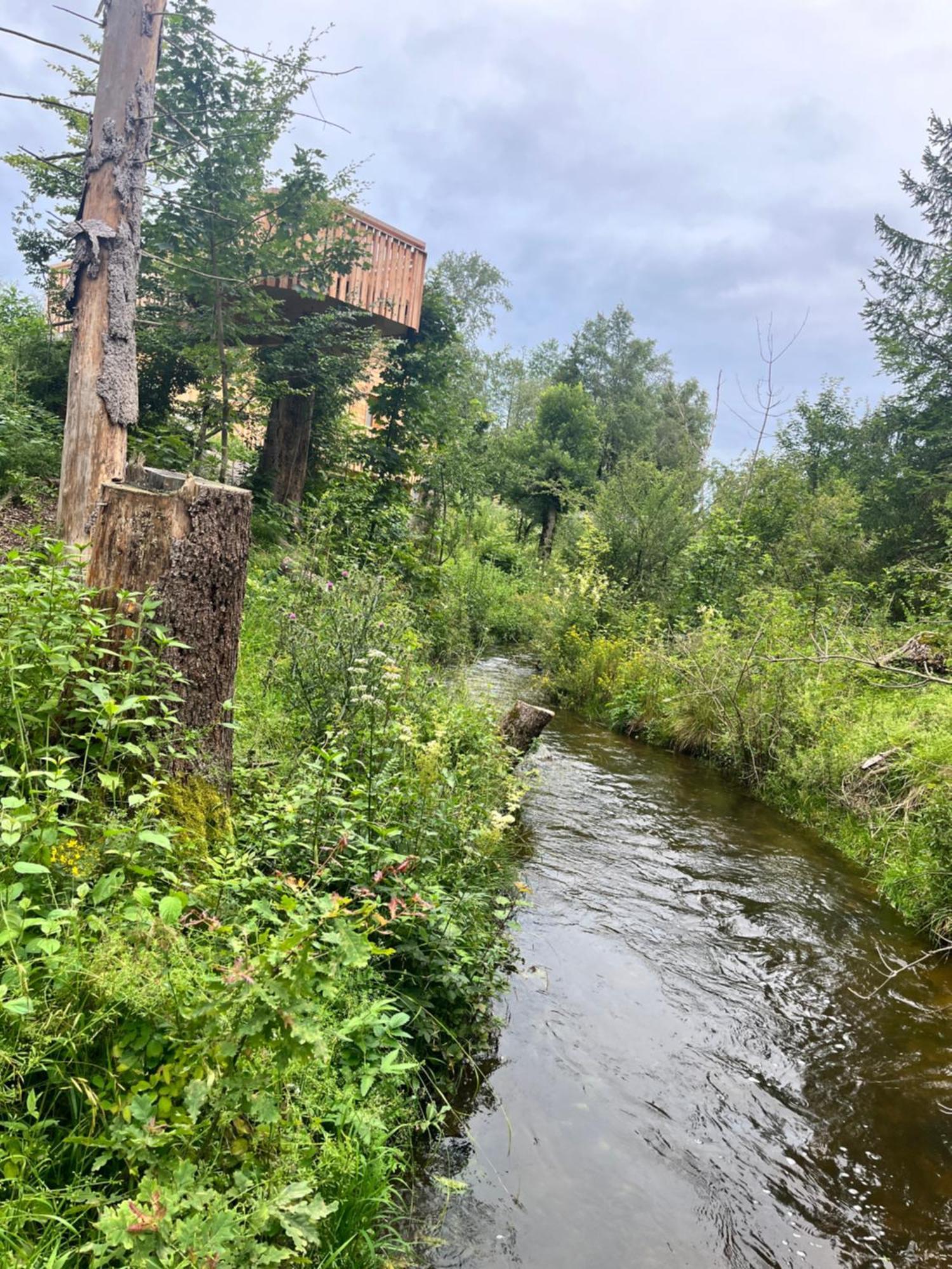 Wald Ist Zukunft Hotell Bernbeuren Exteriör bild