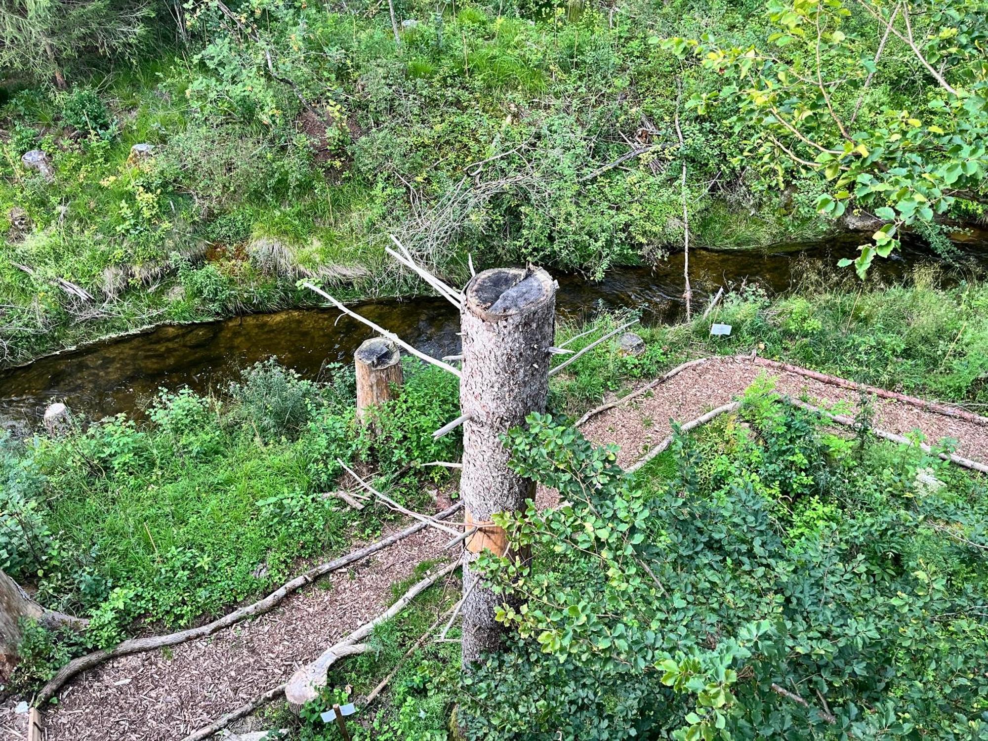 Wald Ist Zukunft Hotell Bernbeuren Exteriör bild
