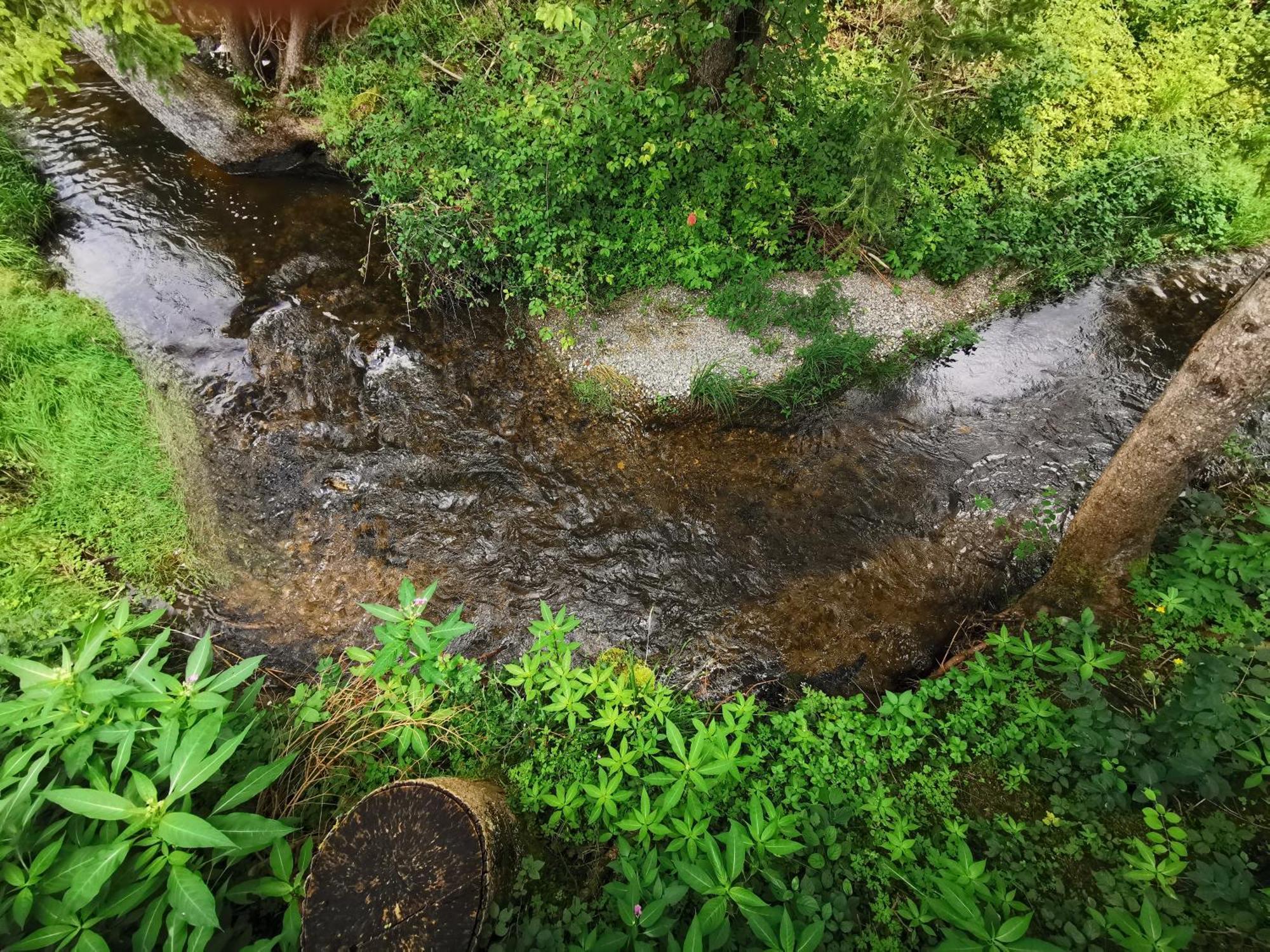 Wald Ist Zukunft Hotell Bernbeuren Exteriör bild