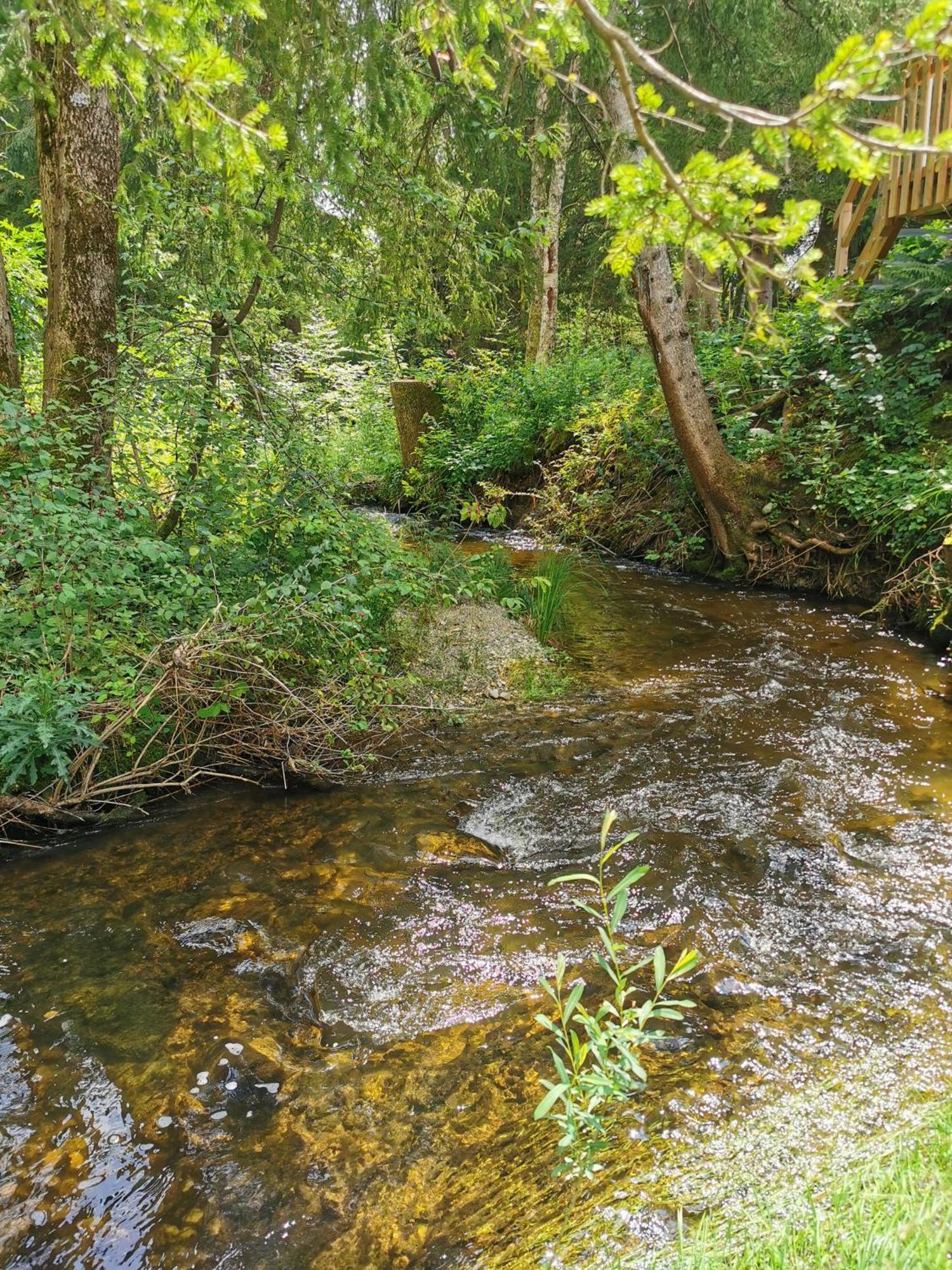Wald Ist Zukunft Hotell Bernbeuren Exteriör bild