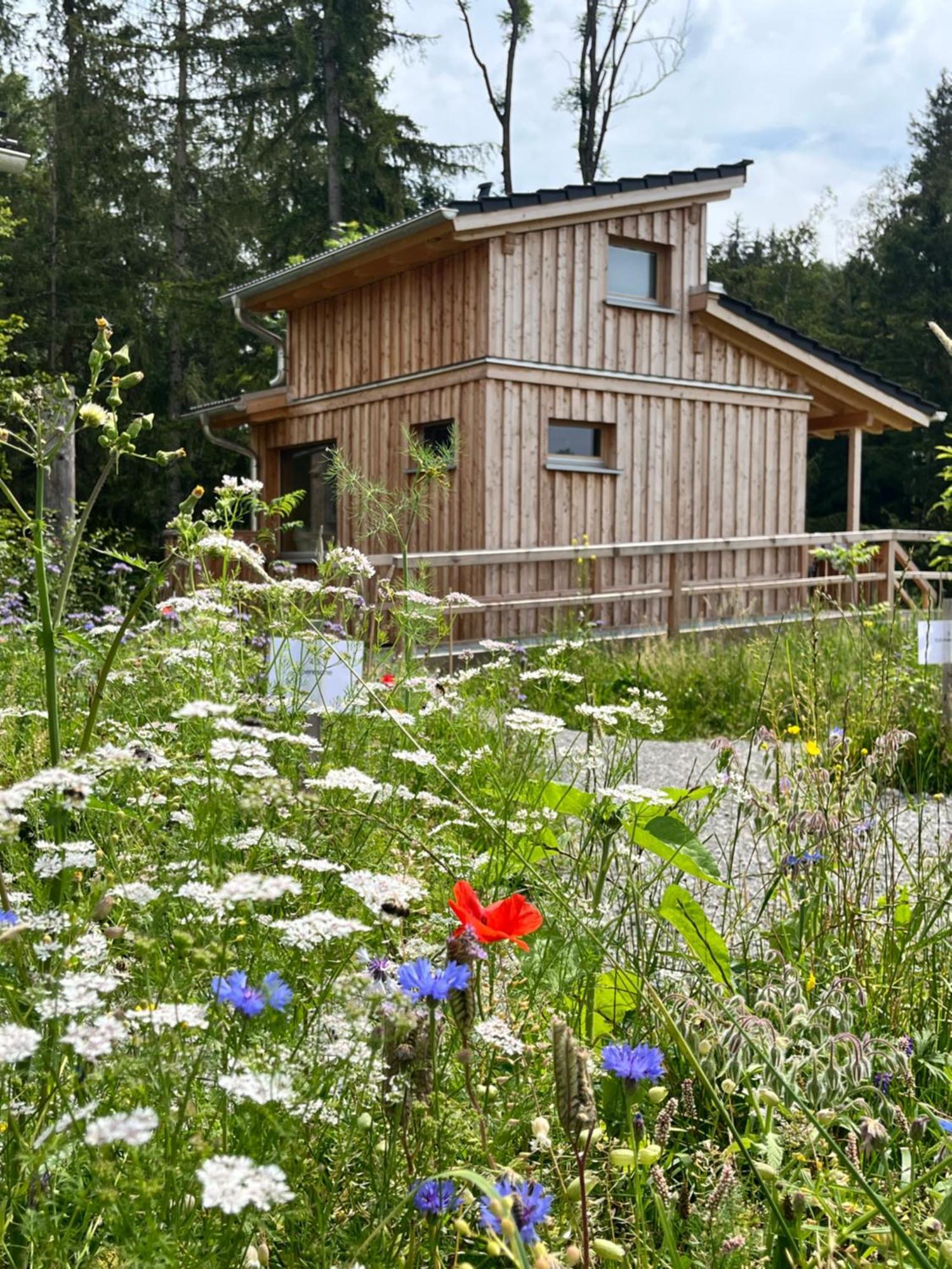 Wald Ist Zukunft Hotell Bernbeuren Exteriör bild