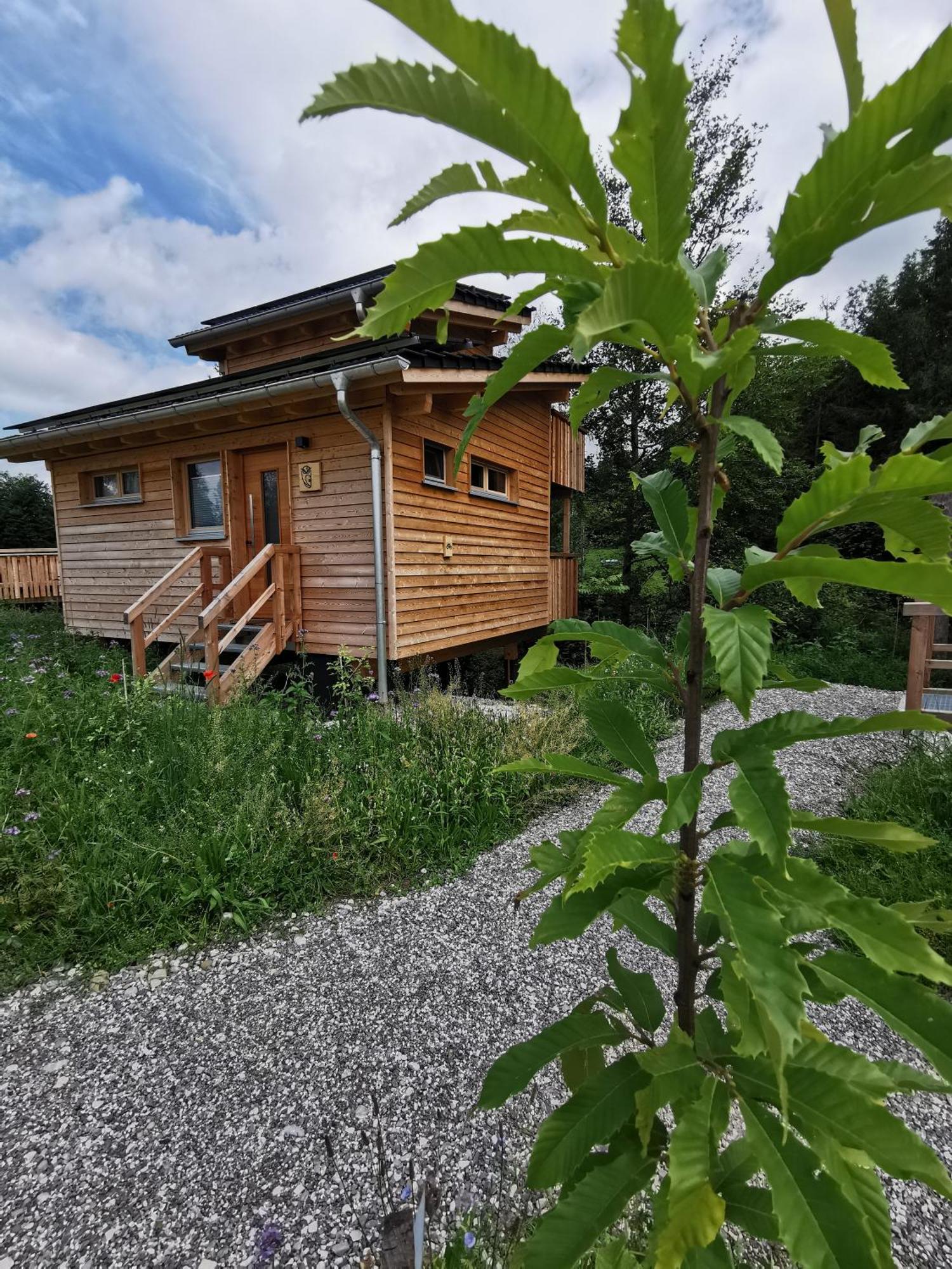 Wald Ist Zukunft Hotell Bernbeuren Exteriör bild