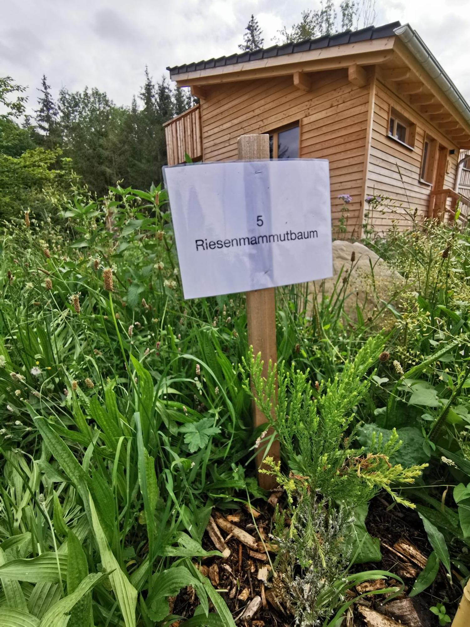 Wald Ist Zukunft Hotell Bernbeuren Exteriör bild