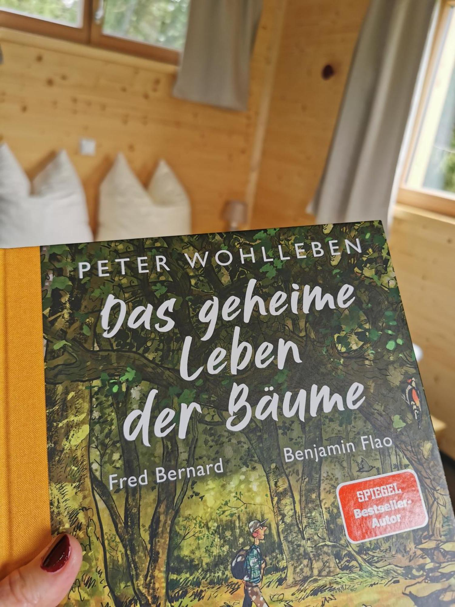 Wald Ist Zukunft Hotell Bernbeuren Exteriör bild
