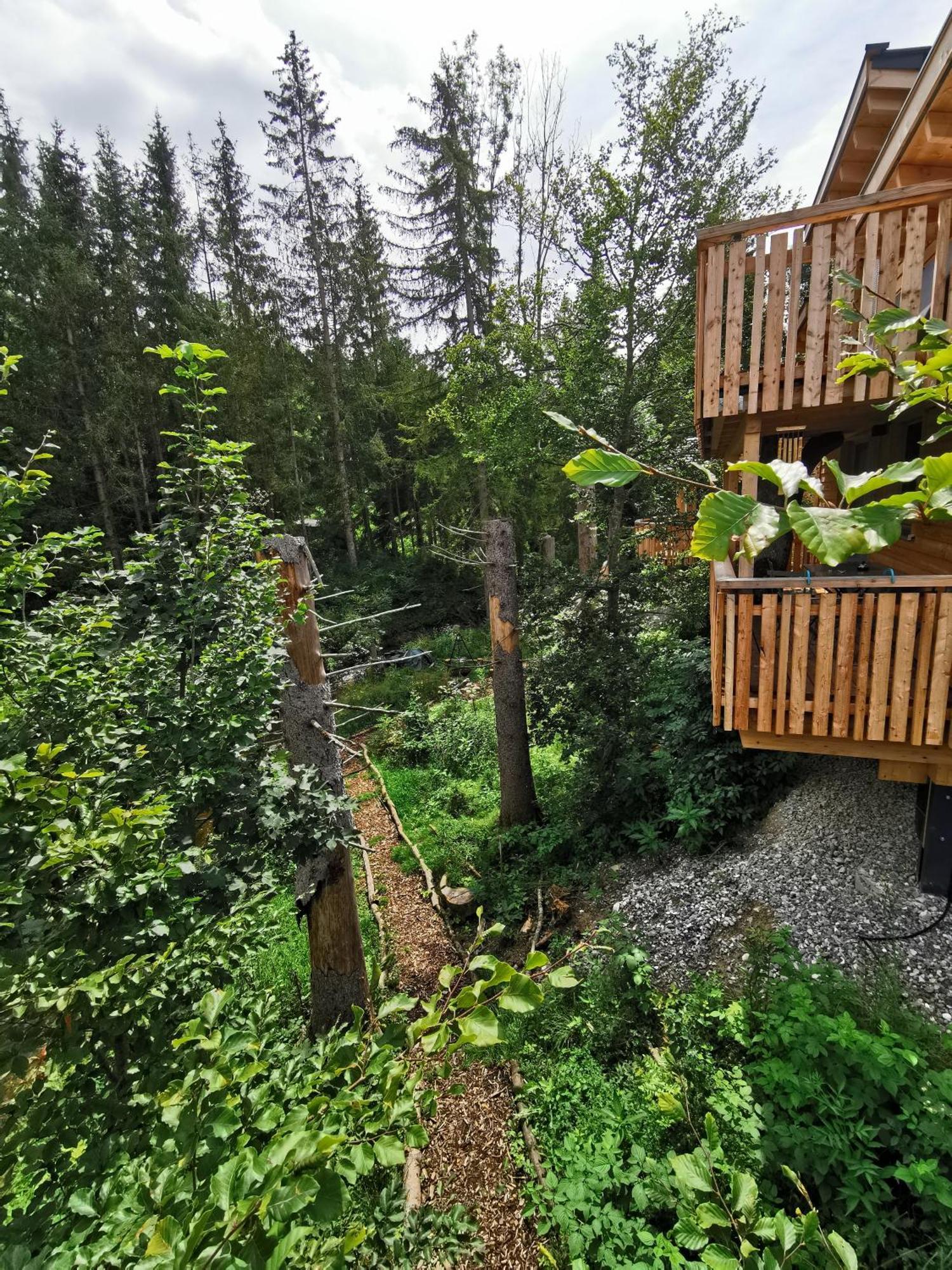 Wald Ist Zukunft Hotell Bernbeuren Exteriör bild