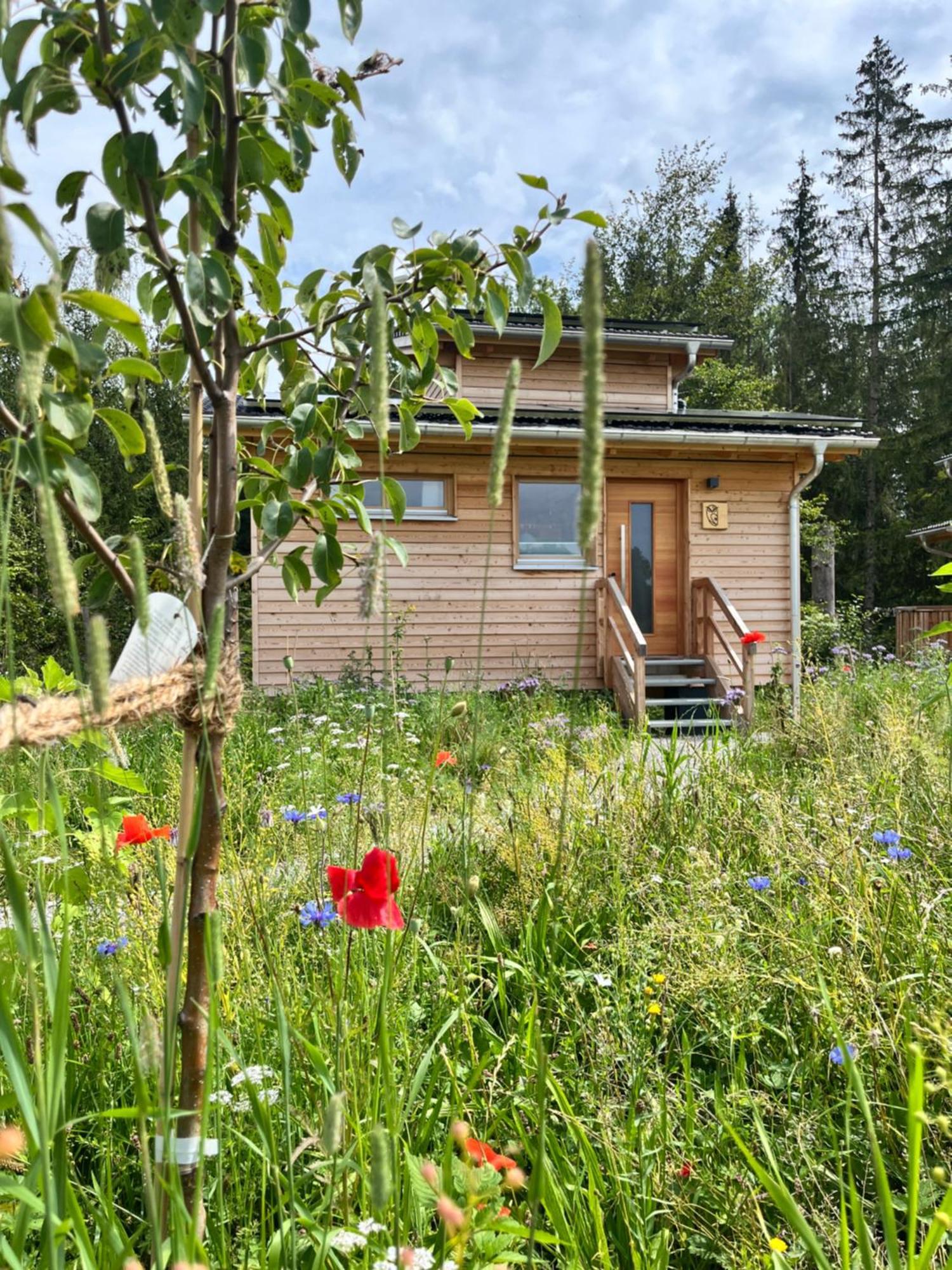 Wald Ist Zukunft Hotell Bernbeuren Exteriör bild