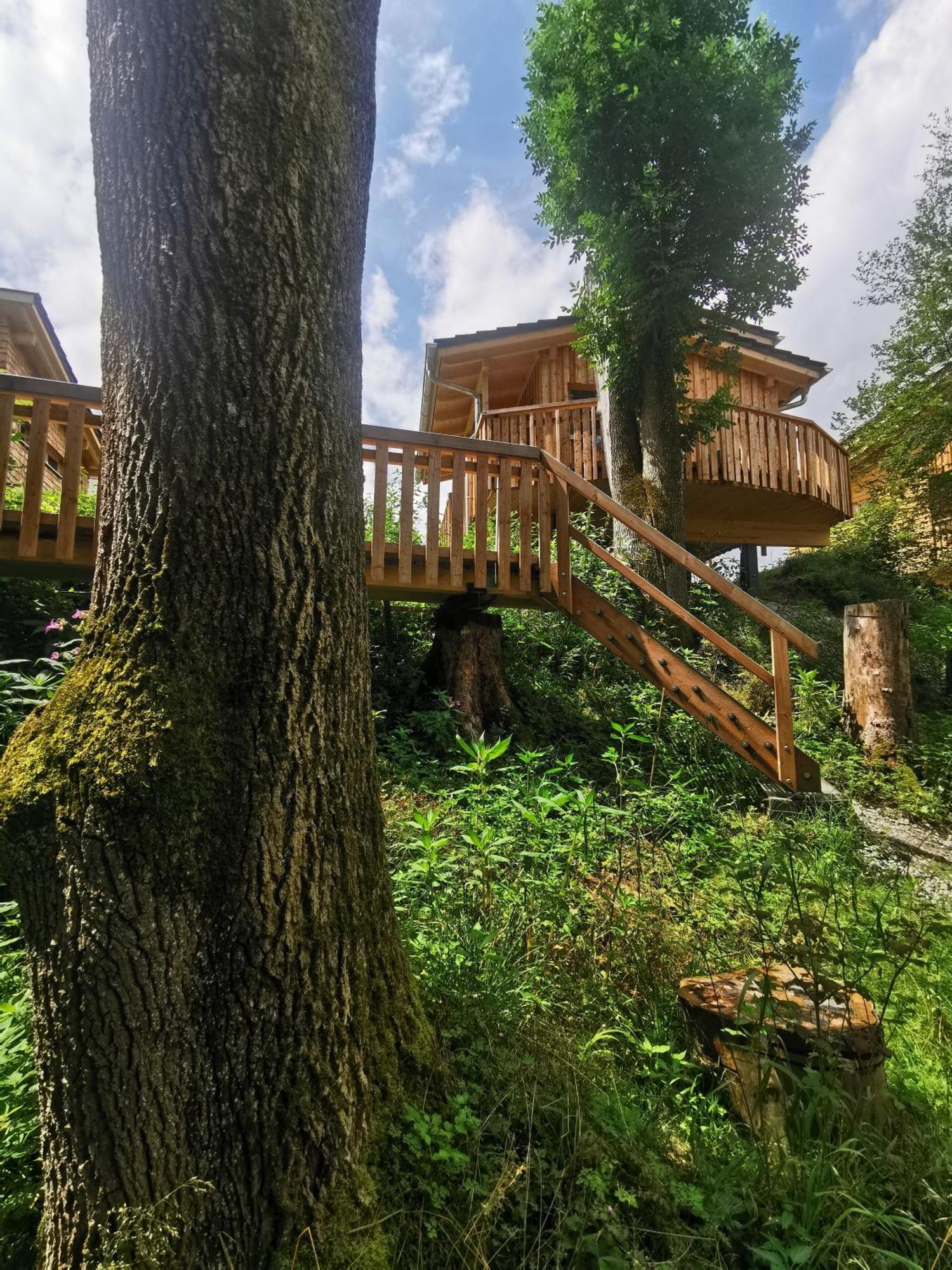 Wald Ist Zukunft Hotell Bernbeuren Exteriör bild