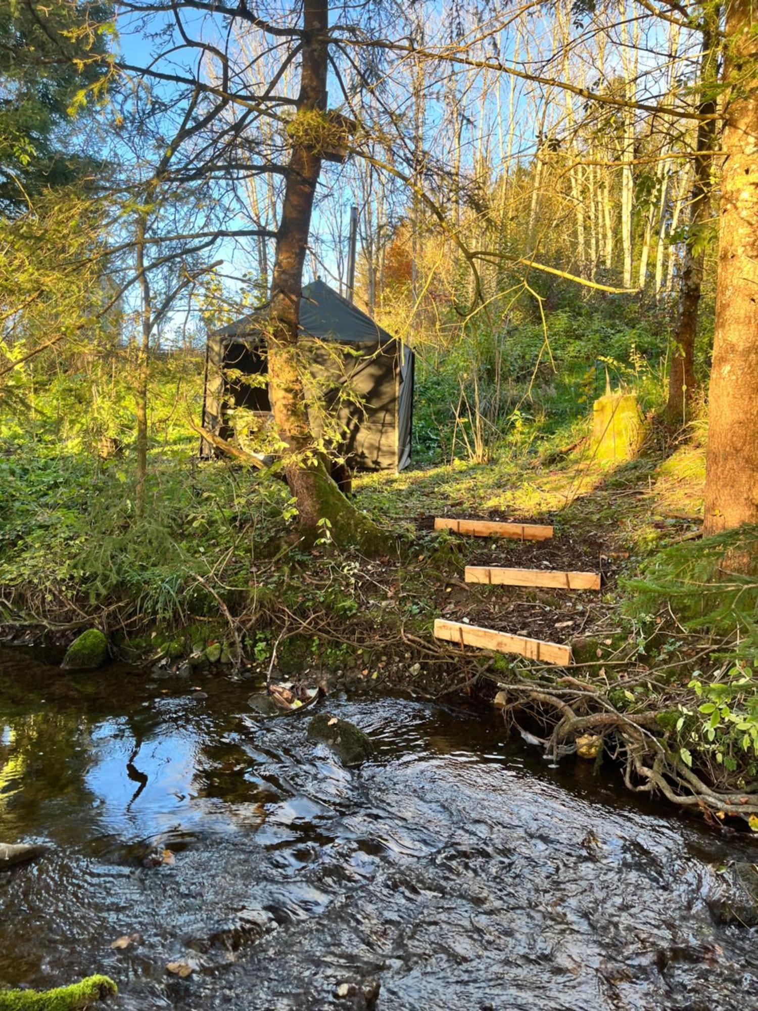 Wald Ist Zukunft Hotell Bernbeuren Exteriör bild