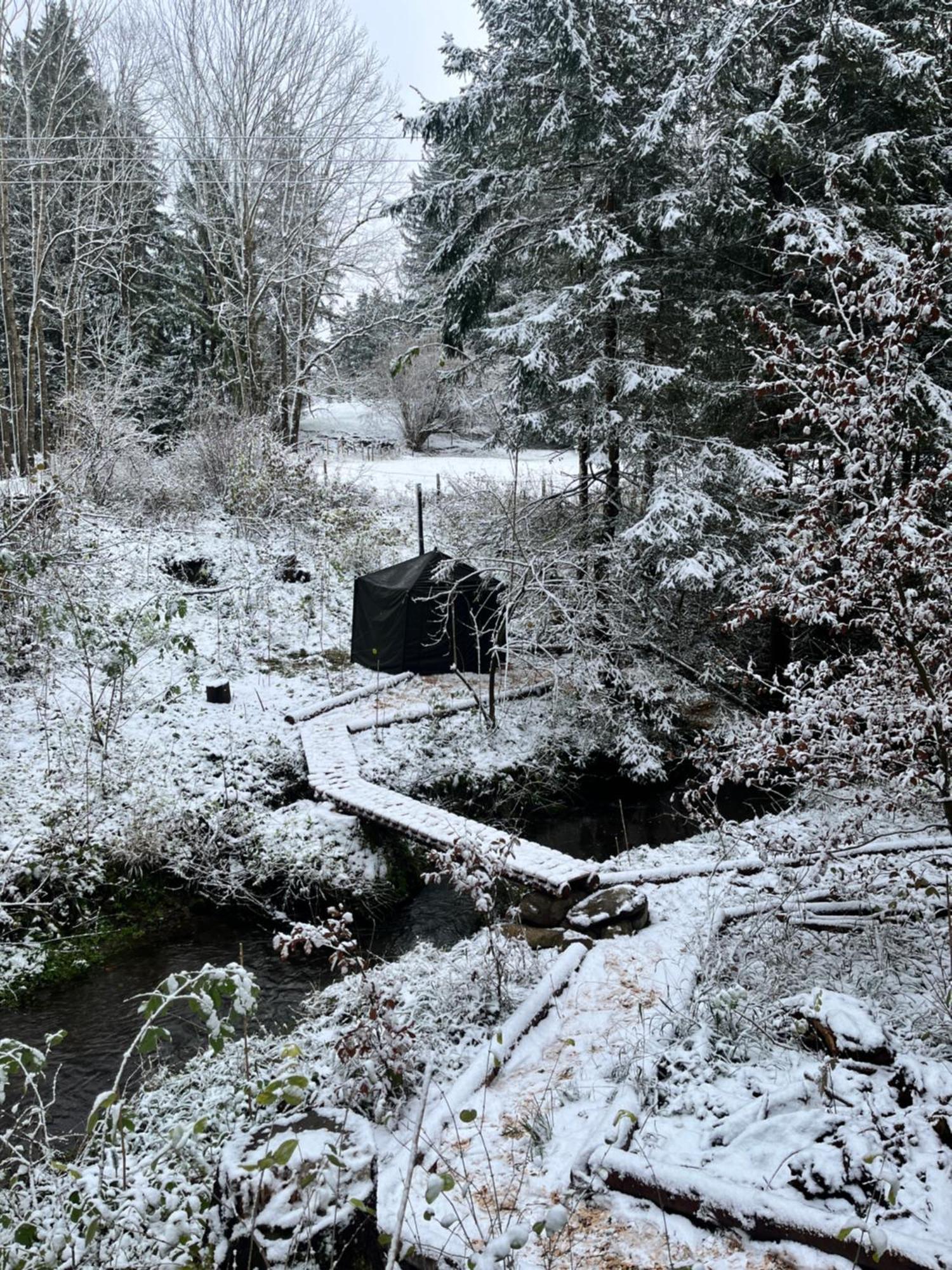 Wald Ist Zukunft Hotell Bernbeuren Exteriör bild