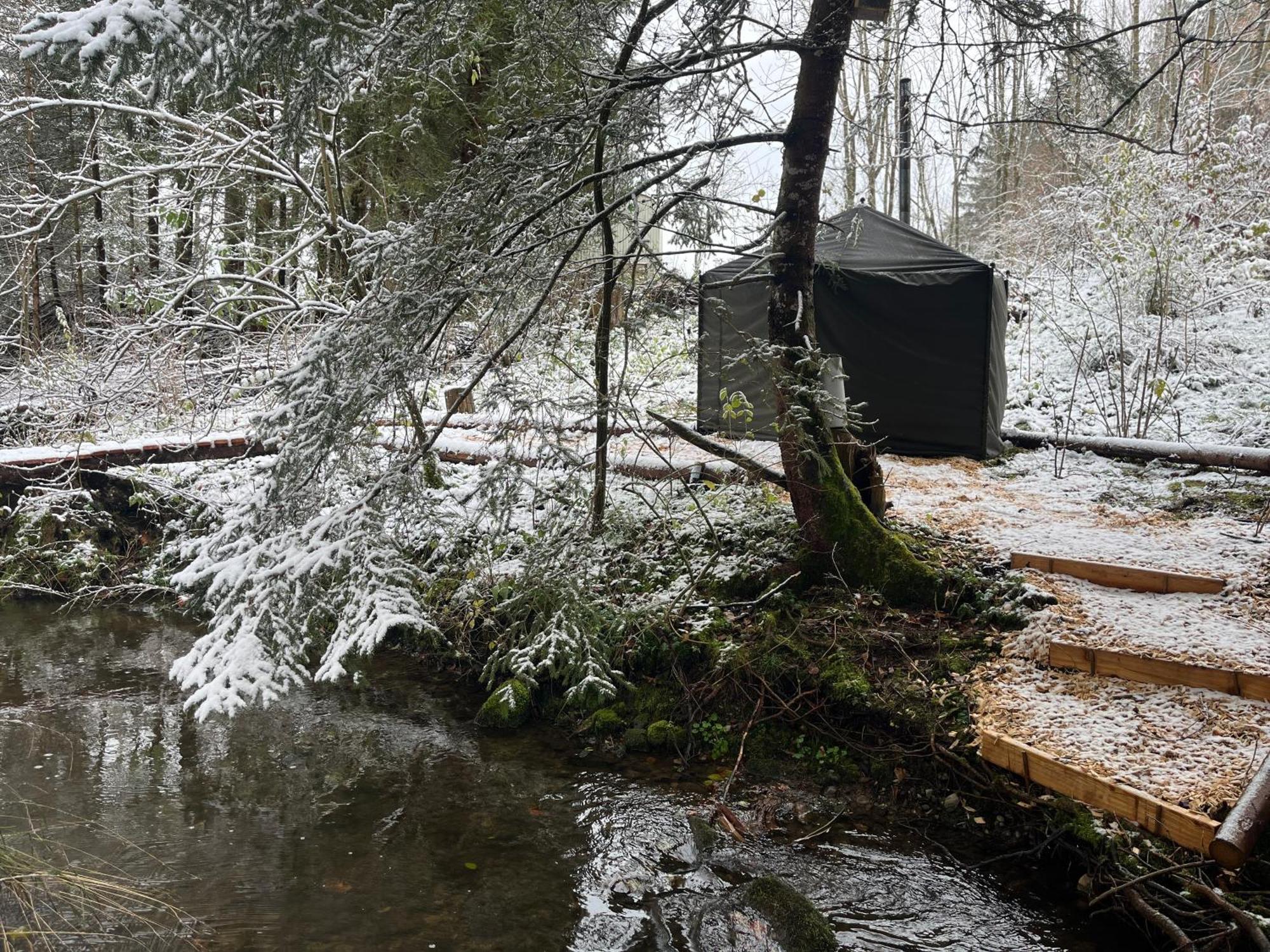 Wald Ist Zukunft Hotell Bernbeuren Exteriör bild