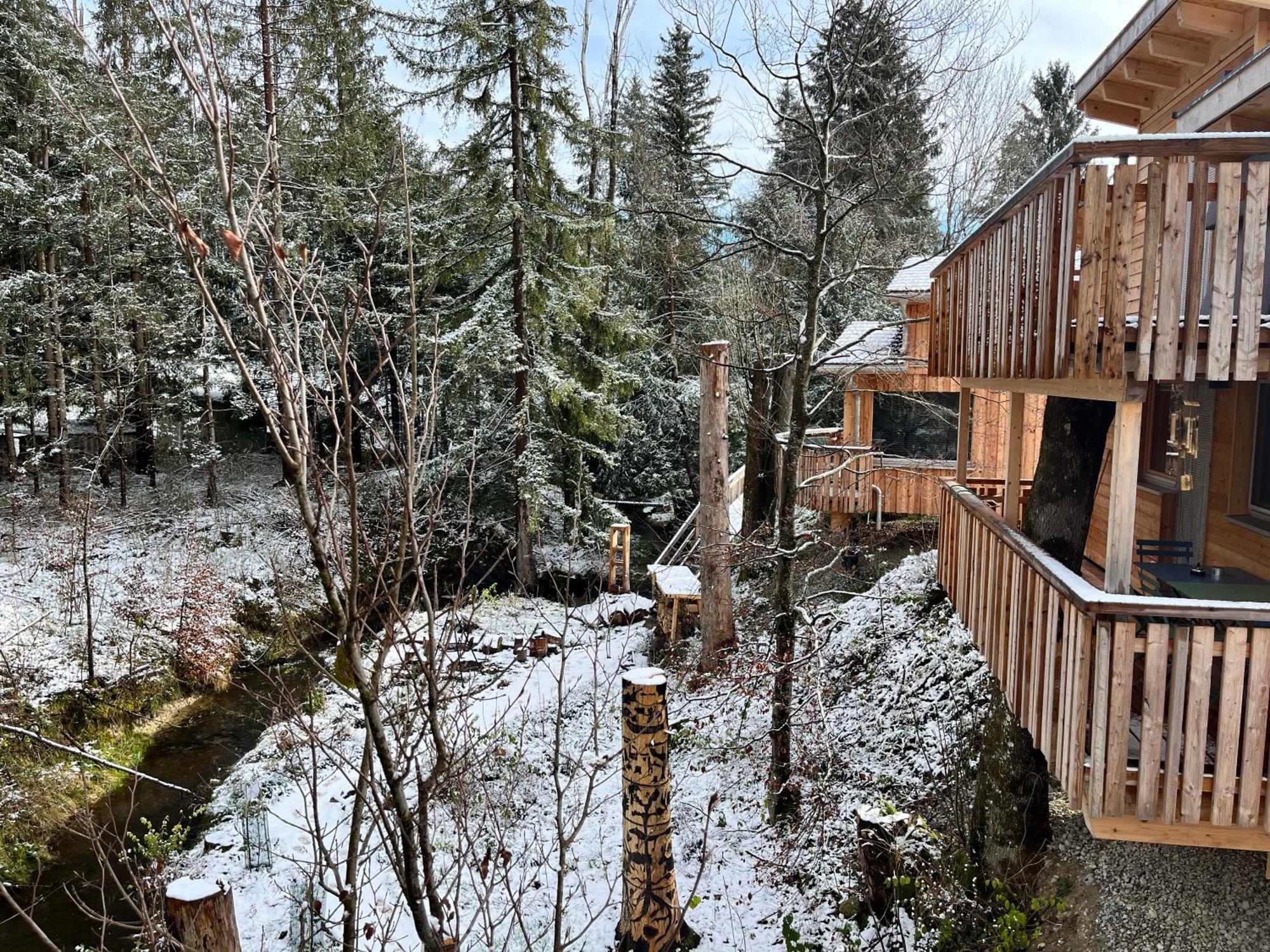 Wald Ist Zukunft Hotell Bernbeuren Exteriör bild