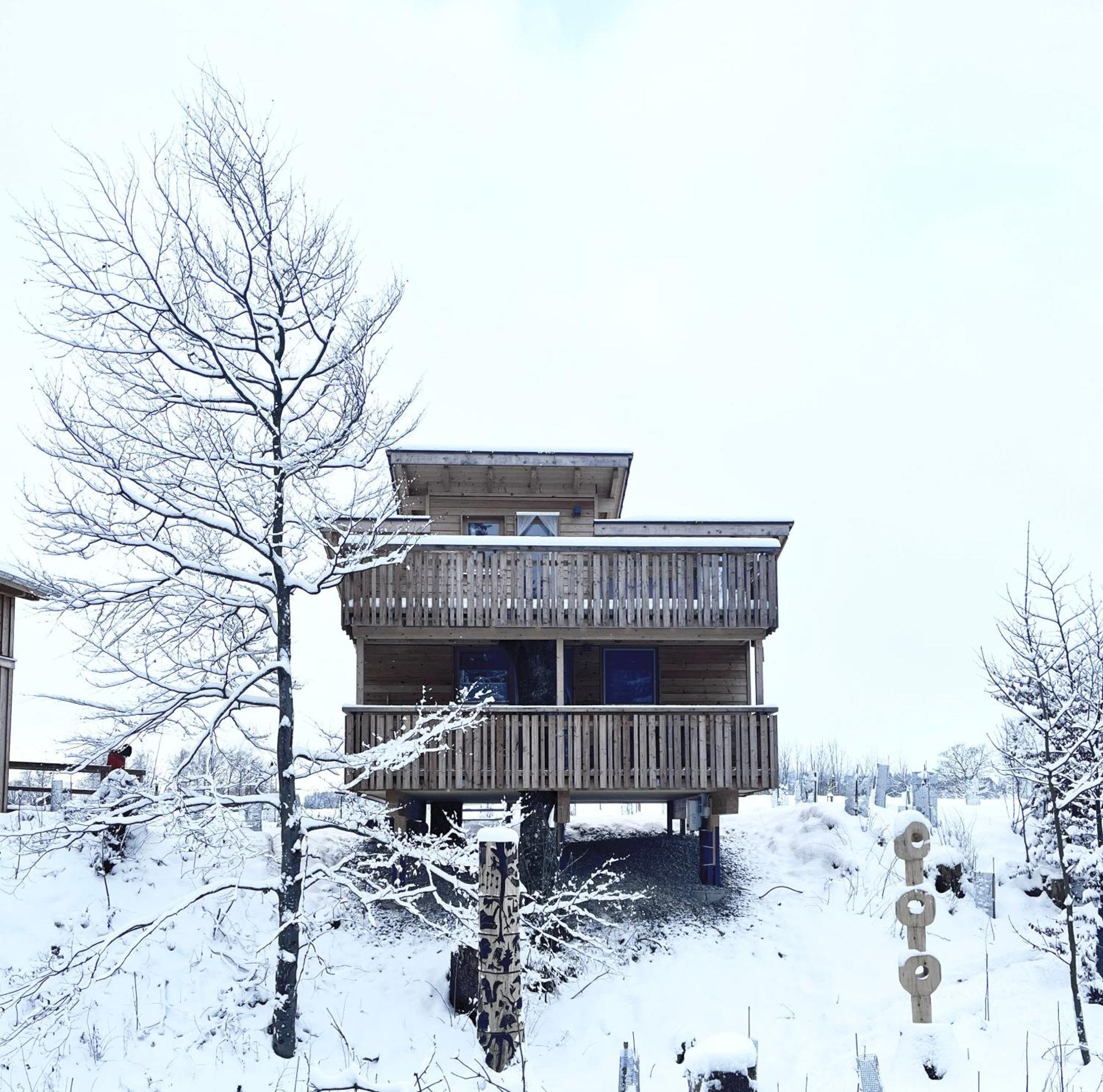Wald Ist Zukunft Hotell Bernbeuren Exteriör bild