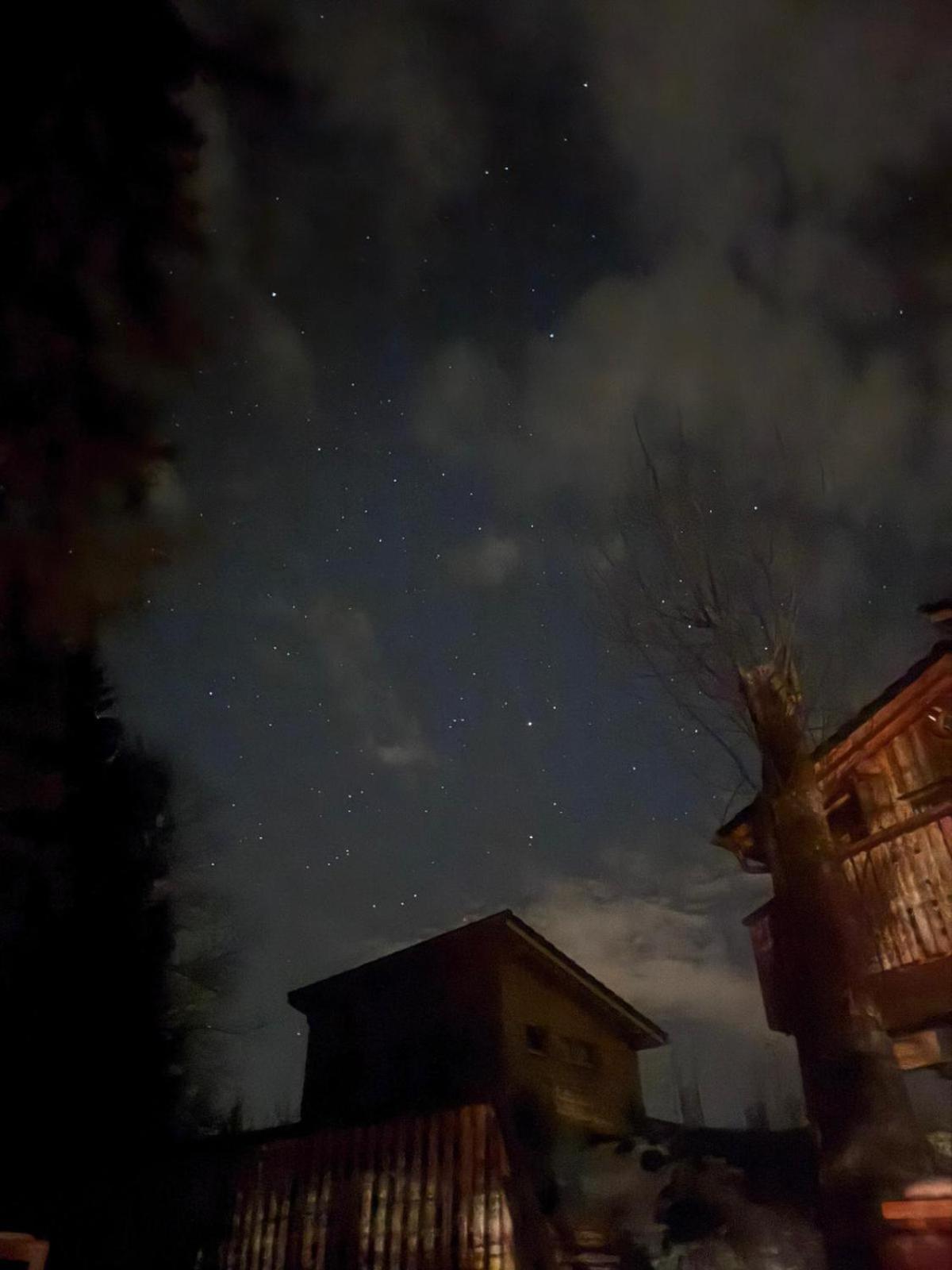 Wald Ist Zukunft Hotell Bernbeuren Exteriör bild